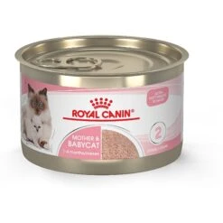 Royal Canin Feline Health Nutrition Mother & Babycat Dry Cat Food & Royal Canin Feline Health Nutrition Mother & Babycat Ultra Soft Mousse In Sauce Canned Cat Food 16 Royal Canin Feline Health Nutrition Mother & Babycat Dry Cat Food & Royal Canin Feline Health Nutrition Mother & Babycat Ultra Soft Mousse In Sauce Canned Cat Food -Furry Friends 854358 PT5. AC SS1800 V1683744315