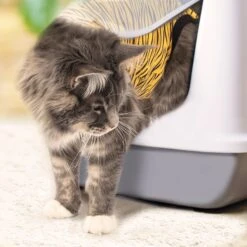 Suitical Recovery Suit Cat Apparel, Tiger Print -Furry Friends 855286 PT3. AC SS1800 V1686669837