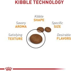 Royal Canin Feline Care Nutrition Hair & Skin Care Dry Cat Food 13 Royal Canin Feline Care Nutrition Hair & Skin Care Dry Cat Food -Furry Friends 855854 PT2. AC SS1800 V1697739342