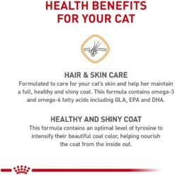 Royal Canin Feline Care Nutrition Hair & Skin Care Dry Cat Food 14 Royal Canin Feline Care Nutrition Hair & Skin Care Dry Cat Food -Furry Friends 855854 PT3. AC SS1800 V1697754238