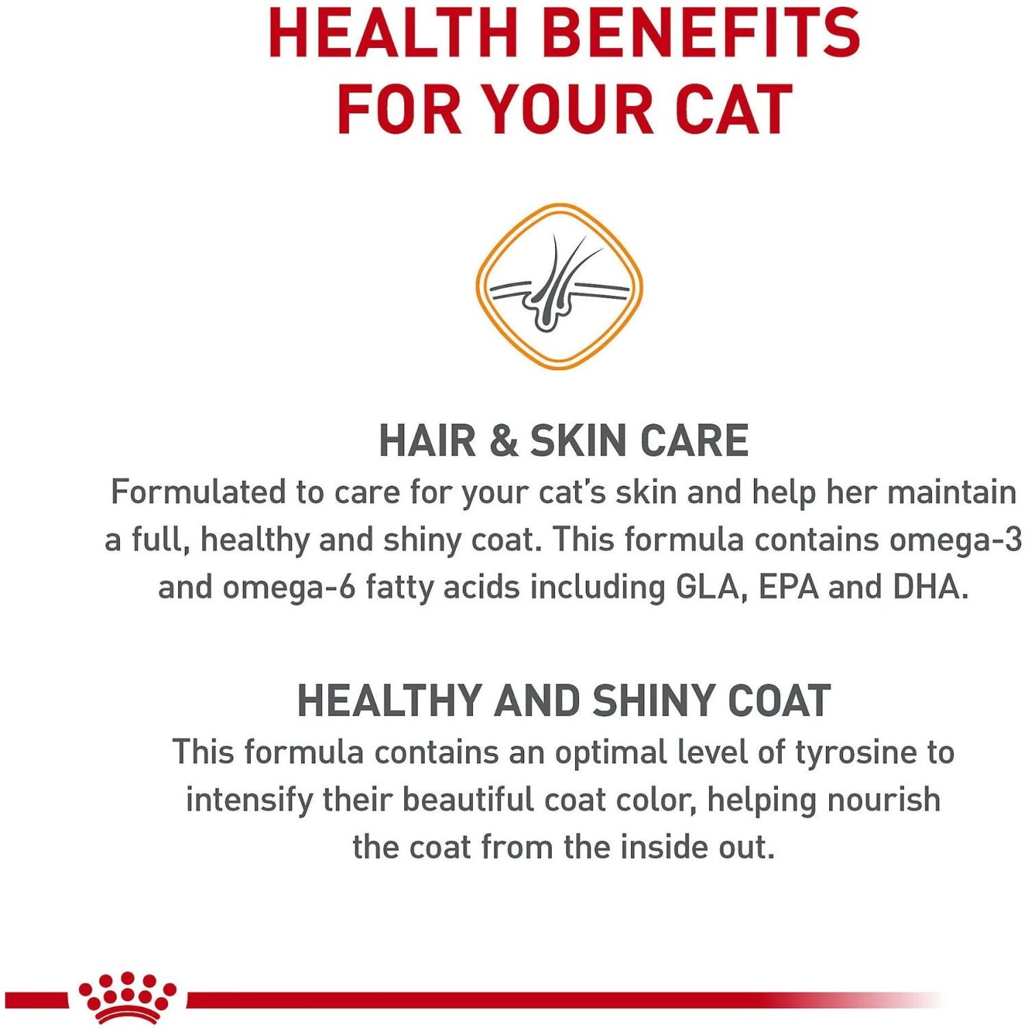 Royal Canin Feline Care Nutrition Hair & Skin Care Dry Cat Food 6 Royal Canin Feline Care Nutrition Hair & Skin Care Dry Cat Food - Image 4