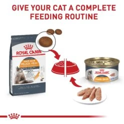 Royal Canin Feline Care Nutrition Hair & Skin Care Dry Cat Food 16 Royal Canin Feline Care Nutrition Hair & Skin Care Dry Cat Food -Furry Friends 855854 PT5. AC SS1800 V1697758598