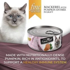 Fussie Cat Fine Dining Mousse Mackerel With Pumpkin Entree Wet Cat Food, 2.47-oz Can, Case Of 24 -Furry Friends 856414 PT1. AC SS1800 V1687875130