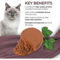 Fussie Cat Fine Dining Mousse Mackerel With Pumpkin Entree Wet Cat Food, 2.47-oz Can, Case Of 24 -Furry Friends 856414 PT2. AC SS1800 V1687875078