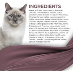 Fussie Cat Fine Dining Mousse Mackerel With Pumpkin Entree Wet Cat Food, 2.47-oz Can, Case Of 24 -Furry Friends 856414 PT3. AC SS1800 V1687875077