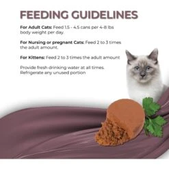 Fussie Cat Fine Dining Mousse Mackerel With Pumpkin Entree Wet Cat Food, 2.47-oz Can, Case Of 24 -Furry Friends 856414 PT5. AC SS1800 V1687875075