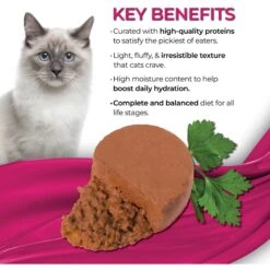 Fussie Cat Fine Dining Mousse Sardine With Pumpkin Entree Wet Cat Food, 2.47-oz Can, Case Of 24 -Furry Friends 856430 PT2. AC SS1800 V1687875077