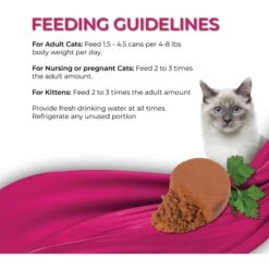 Fussie Cat Fine Dining Mousse Sardine With Pumpkin Entree Wet Cat Food, 2.47-oz Can, Case Of 24 -Furry Friends 856430 PT5. AC SS1800 V1687875131