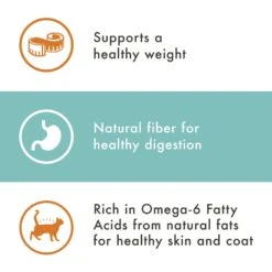 Nutro Wholesome Essentials Indoor Chicken & Brown Rice Recipe Adult Dry Cat Food -Furry Friends 86712 PT4. AC SS1800 V1702666061