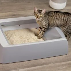 O.R.I./GRAYSTONE NATURAL Granular Tofu Uncented Cat Litter For Automatic Self-cleaning Litter Box Robots, 18-lb Bag, Case Of 4 -Furry Friends 867382 PT3. AC SS1800 V1687887272