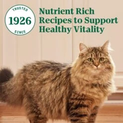 Nutro Wholesome Essentials Hairball Control Chicken & Brown Rice Recipe Adult Dry Cat Food -Furry Friends 86768 PT8. AC SS1800 V1702665822