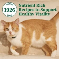 Nutro Wholesome Essentials Chicken & Brown Rice Recipe Senior Dry Cat Food -Furry Friends 86792 PT8. AC SS1800 V1702666050