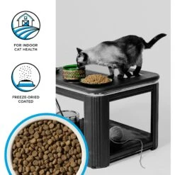 BIXBI Rawbble Dry Food Chicken Salmon Recipe For Indoor Cats, 10-lb Bag -Furry Friends 870982 PT2. AC SS1800 V1691515544