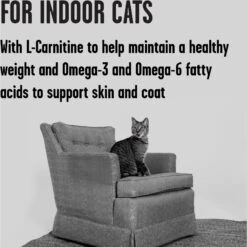 BIXBI Rawbble Dry Food Chicken Salmon Recipe For Indoor Cats, 10-lb Bag -Furry Friends 870982 PT3. AC SS1800 V1691515655