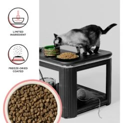 BIXBI Rawbble Dry Food Salmon Recipe For Cats, 10-lb Bag -Furry Friends 871014 PT2. AC SS1800 V1691515537