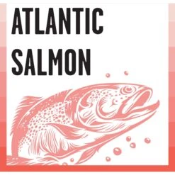 BIXBI Rawbble Dry Food Salmon Recipe For Cats, 10-lb Bag -Furry Friends 871014 PT4. AC SS1800 V1691515655