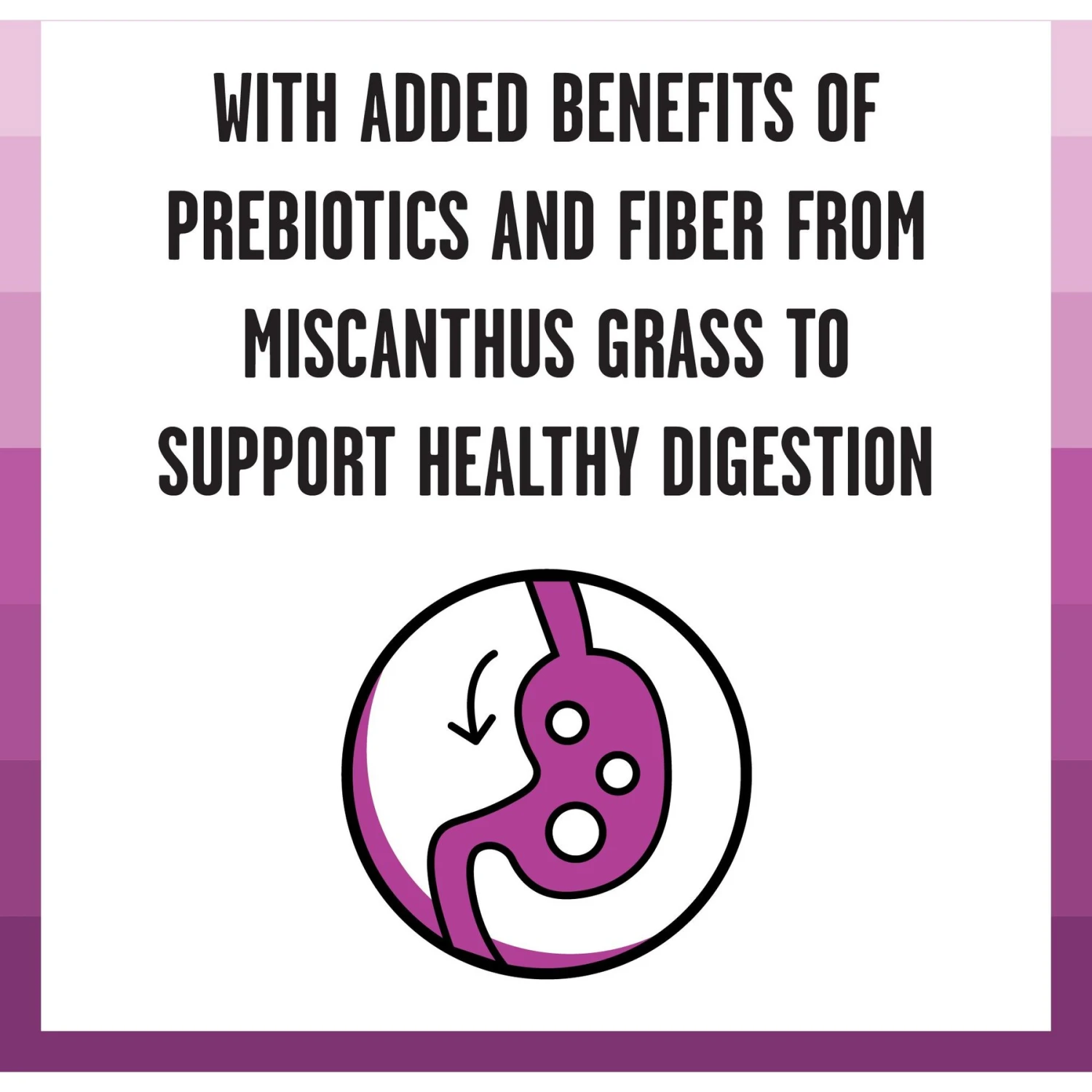 BIXBI Rawbble Dry Food Chicken Digestive Health Recipe For Cats, 3-lb Bag 6 BIXBI Rawbble Dry Food Chicken Digestive Health Recipe For Cats, 3-lb Bag - Image 4