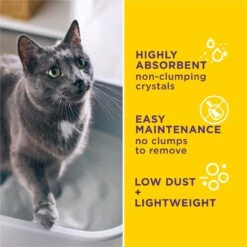 Tidy Cats Alert Health Monitoring Unscented Non-Clumping Cat Litter, 8-lb Bag 10 Tidy Cats Alert Health Monitoring Unscented Non-Clumping Cat Litter, 8-lb Bag -Furry Friends 871510 PT3. AC SS1800 V1700256917