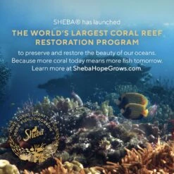 Sheba Perfect Portions Grain-Free Tender Whitefish & Tuna Entree Pate Adult Wet Cat Food Trays 15 Sheba Perfect Portions Grain-Free Tender Whitefish & Tuna Entree Pate Adult Wet Cat Food Trays -Furry Friends 87818 PT4. AC SS1800 V1703276624