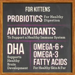 Merrick Purrfect Bistro Grain-Free Healthy Kitten Recipe Dry Cat Food -Furry Friends 87829 PT6. AC SS1800 V1638042111