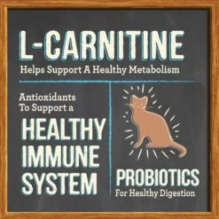 Merrick Purrfect Bistro Grain-Free Healthy Weight Recipe Dry Cat Food 14 Merrick Purrfect Bistro Grain-Free Healthy Weight Recipe Dry Cat Food -Furry Friends 87833 PT3. AC SS1800 V1638039702