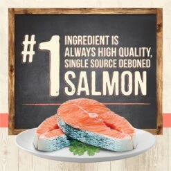 Merrick Limited Ingredient Diet Grain-Free Real Salmon Pate Recipe Canned Cat Food -Furry Friends 87837 PT2. AC SS1800 V1696263366