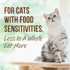 Merrick Limited Ingredient Diet Grain-Free Real Turkey Pate Recipe Canned Cat Food -Furry Friends 87839 PT6. AC SS1800 V1696442433