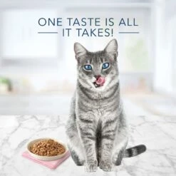 Blue Buffalo Tastefuls Natural Tender Morsels Chicken Entree Wet Cat Food, 5.5-oz Can, Case Of 12 13 Blue Buffalo Tastefuls Natural Tender Morsels Chicken Entree Wet Cat Food, 5.5-oz Can, Case Of 12 -Furry Friends 879166 PT3. AC SS1800 V1687357573