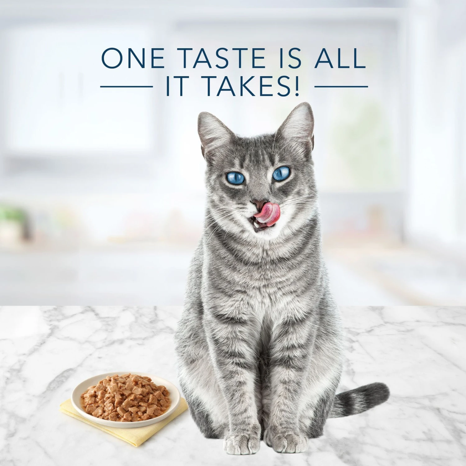 Blue Buffalo Tastefuls Natural Flaked Tuna Entree In Gravy Wet Cat Food, 5.5-oz Can, Case Of 12 6 Blue Buffalo Tastefuls Natural Flaked Tuna Entree In Gravy Wet Cat Food, 5.5-oz Can, Case Of 12 - Image 4