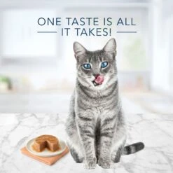 Blue Buffalo Tastefuls Natural Pate Turkey & Chicken Entree Wet Cat Food, 3-oz Can, Case Of 12 -Furry Friends 879326 PT3. AC SS1800 V1687358056
