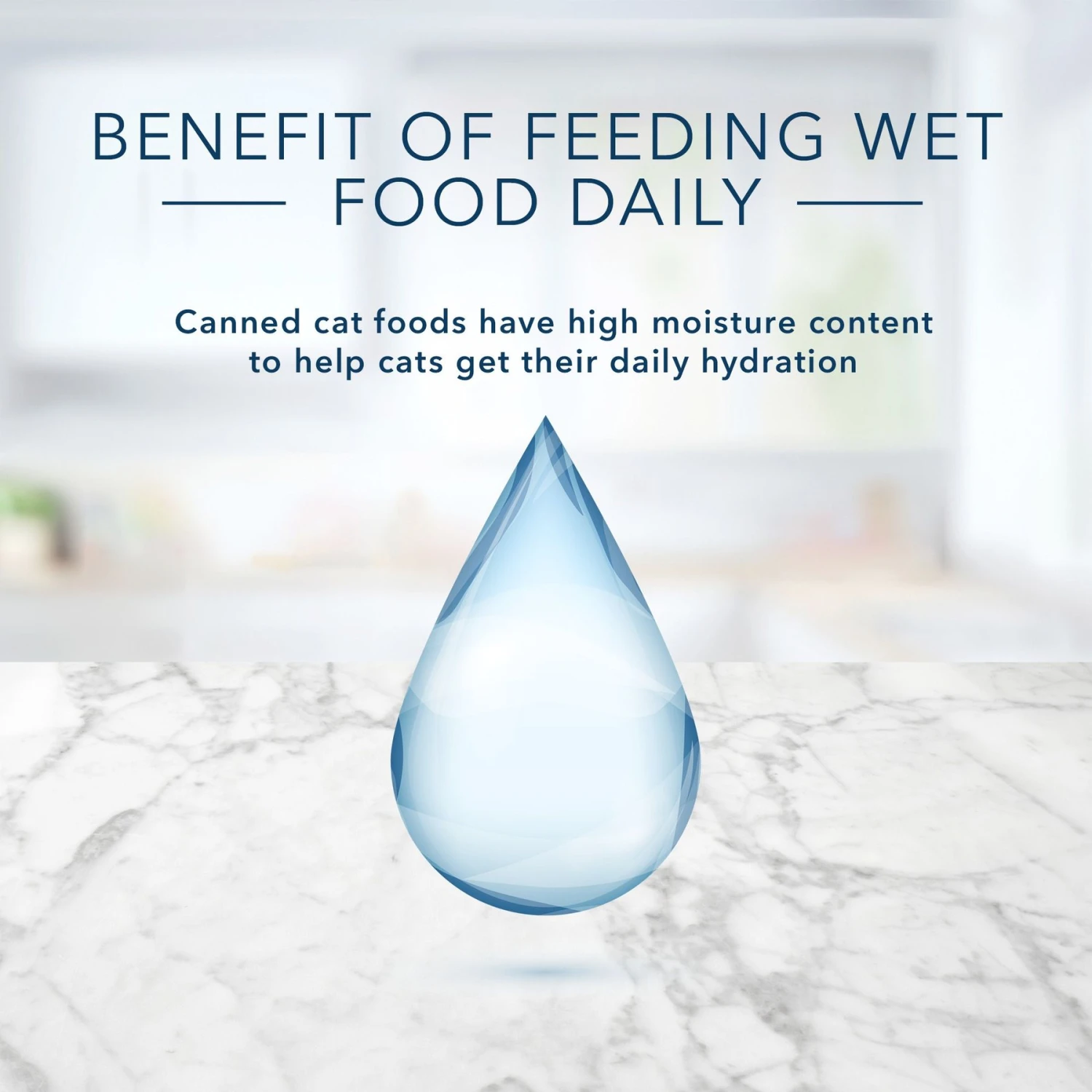 Blue Buffalo Tastefuls Natural Tender Morsels Chicken Entree Wet Cat Food, 3-oz Can, Case Of 12 9 Blue Buffalo Tastefuls Natural Tender Morsels Chicken Entree Wet Cat Food, 3-oz Can, Case Of 12 - Image 7