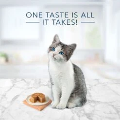Blue Buffalo Tastefuls Natural Kitten Pate Chicken Entree Wet Cat Food Multi-Pack, 3-oz Can, Case Of 6 -Furry Friends 879486 PT2. AC SS1800 V1694720227