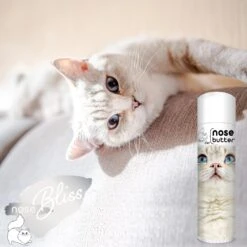 The Blissful Dog Cat Nose Cream, 0.50-oz Tube -Furry Friends 879654 PT1. AC SS1800 V1689280810