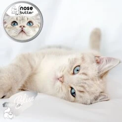 The Blissful Dog Cat Nose Cream, 1-oz Tin 8 The Blissful Dog Cat Nose Cream, 1-oz Tin -Furry Friends 879670 PT1. AC SS1800 V1689280818