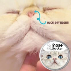The Blissful Dog Cat Nose Cream, 2-oz Tin 9 The Blissful Dog Cat Nose Cream, 2-oz Tin -Furry Friends 879686 PT2. AC SS1800 V1689280816