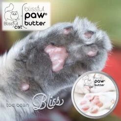 The Blissful Dog Cat Paw Cream, 1-oz Tin -Furry Friends 879734 PT1. AC SS1800 V1689280797
