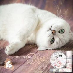 The Blissful Dog Cat Paw Cream, 1-oz Tin -Furry Friends 879734 PT2. AC SS1800 V1689280811