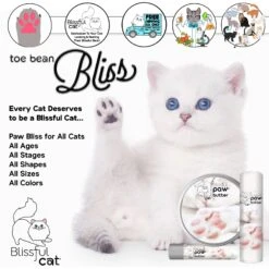The Blissful Dog Cat Paw Cream, 2-oz Tin -Furry Friends 879750 PT2. AC SS1800 V1689280758