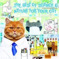 The Blissful Dog Cat Paw Cream, 2-oz Tin -Furry Friends 879750 PT3. AC SS1800 V1689280742