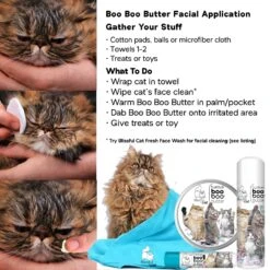 The Blissful Dog Boo Boo Cat Paw Cream, 1-oz Tin -Furry Friends 879798 PT5. AC SS1800 V1689280306