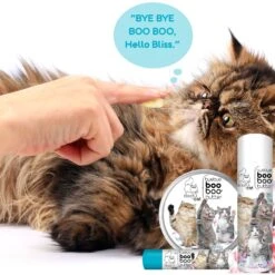 The Blissful Dog Boo Boo Cat Paw Cream, 2-oz Tin -Furry Friends 879814 PT2. AC SS1800 V1689280309