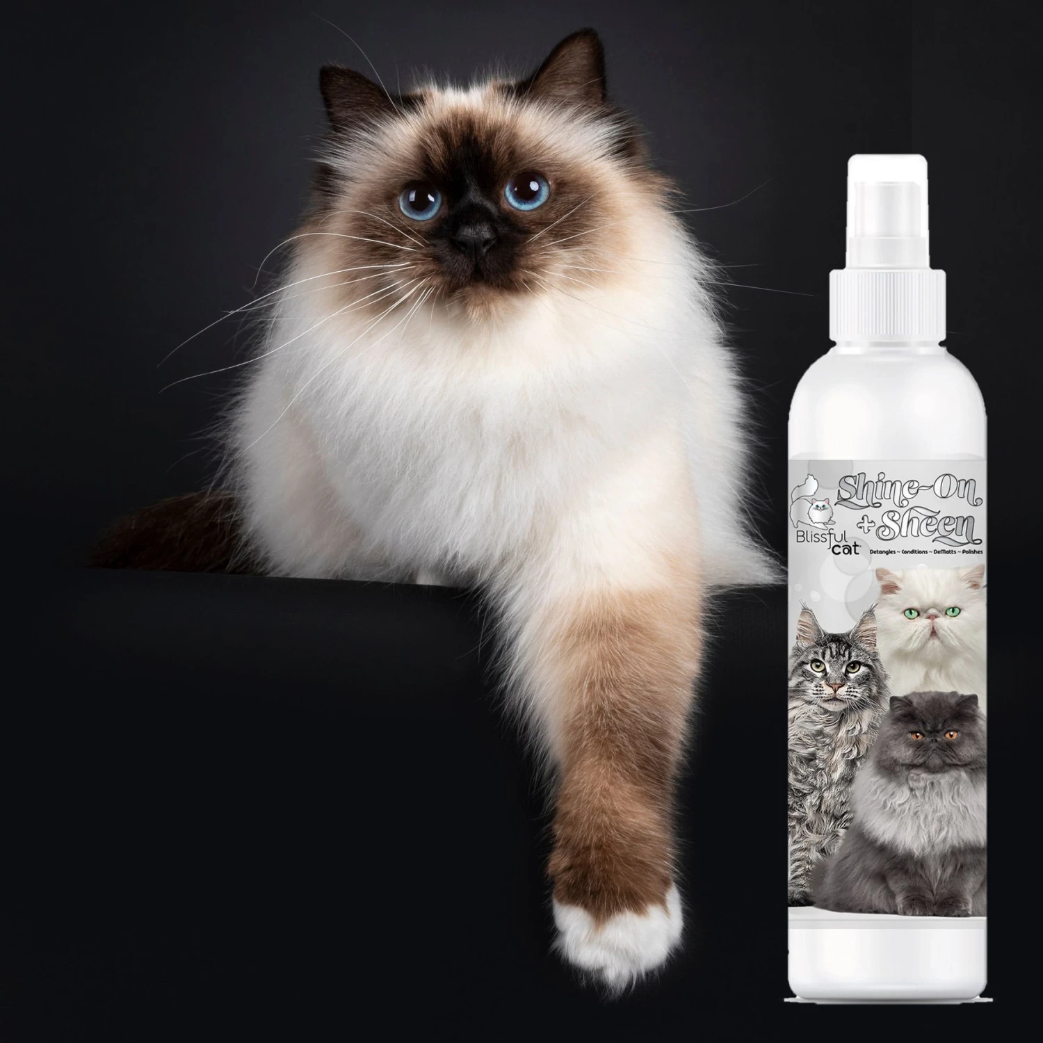 The Blissful Dog Shine-On+Sheen Cat De-Tangling Coat Cat Spray, 4-oz Bottle 4 The Blissful Dog Shine-On+Sheen Cat De-Tangling Coat Cat Spray, 4-oz Bottle - Image 2