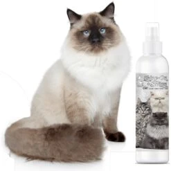 The Blissful Dog Shine-On+Sheen Cat De-Tangling Coat Cat Spray, 4-oz Bottle 13 The Blissful Dog Shine-On+Sheen Cat De-Tangling Coat Cat Spray, 4-oz Bottle -Furry Friends 879830 PT5. AC SS1800 V1689347087