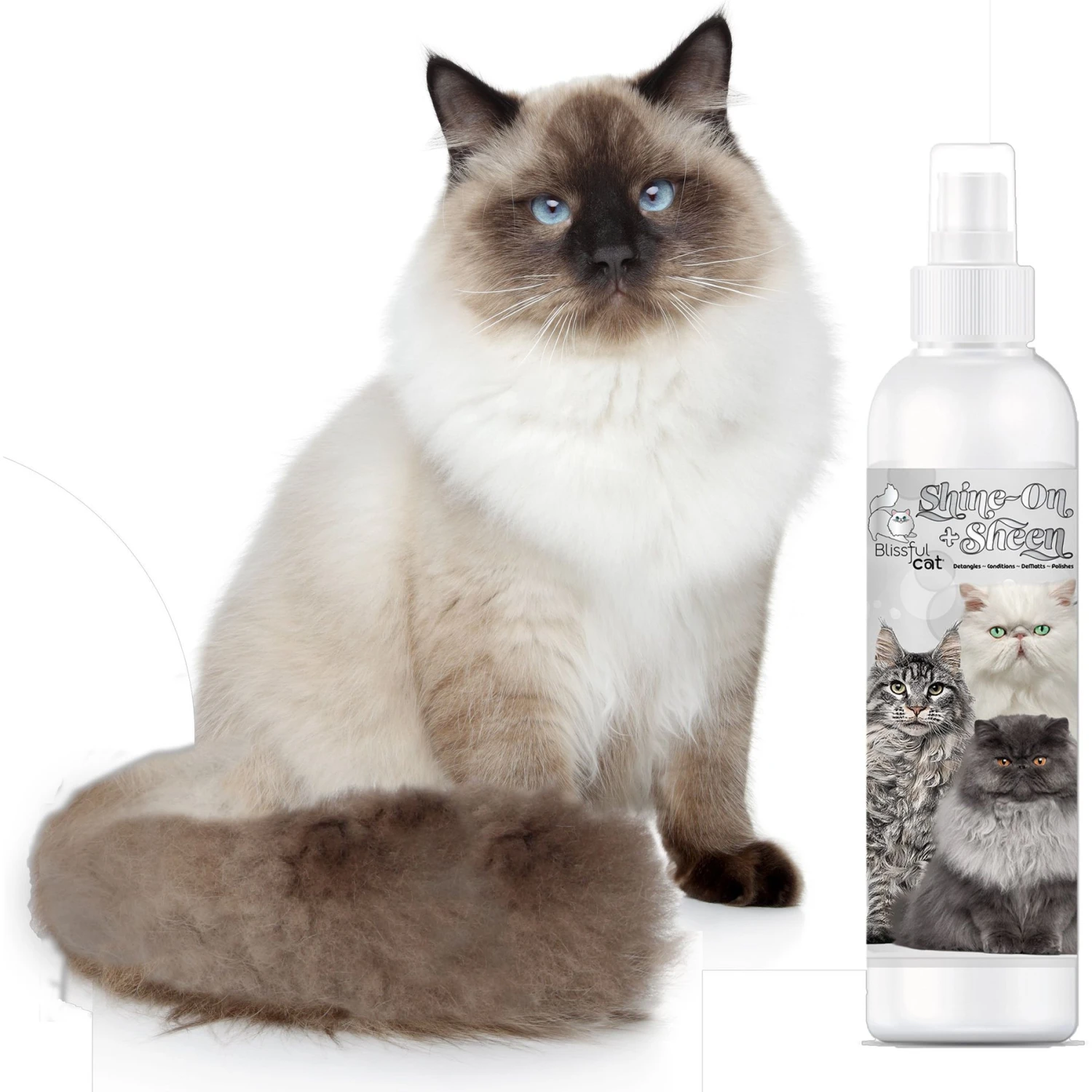 The Blissful Dog Shine-On+Sheen Cat De-Tangling Coat Cat Spray, 4-oz Bottle 8 The Blissful Dog Shine-On+Sheen Cat De-Tangling Coat Cat Spray, 4-oz Bottle - Image 6
