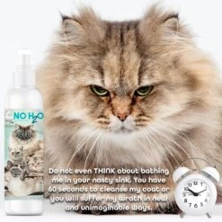The Blissful Dog No H2O Waterless Cat Shampoo Spray, 4-oz Bottle -Furry Friends 879846 PT6. AC SS1800 V1689344881