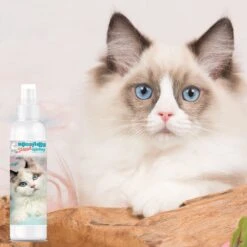 The Blissful Dog Simply Everything Fresh Deodorizing Refresher Cat Spray, 4-oz Bottle -Furry Friends 879862 PT2. AC SS1800 V1689279479