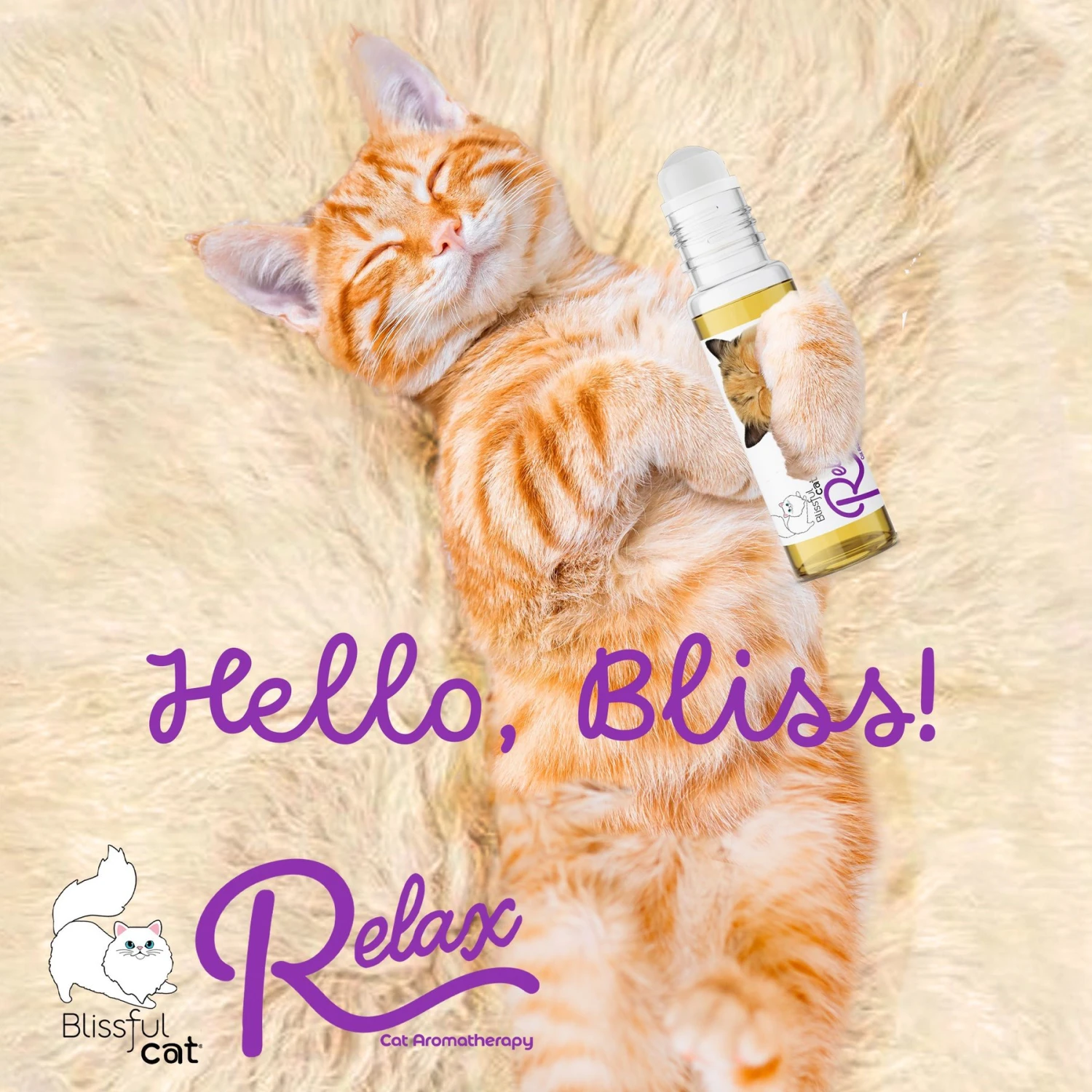 The Blissful Dog Relax Aromatherapy Roll-On Cat Spray, 0.45-oz Bottle 4 The Blissful Dog Relax Aromatherapy Roll-On Cat Spray, 0.45-oz Bottle - Image 2
