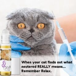 The Blissful Dog Relax Aromatherapy Roll-On Cat Spray, 0.45-oz Bottle 12 The Blissful Dog Relax Aromatherapy Roll-On Cat Spray, 0.45-oz Bottle -Furry Friends 879878 PT2. AC SS1800 V1689279472