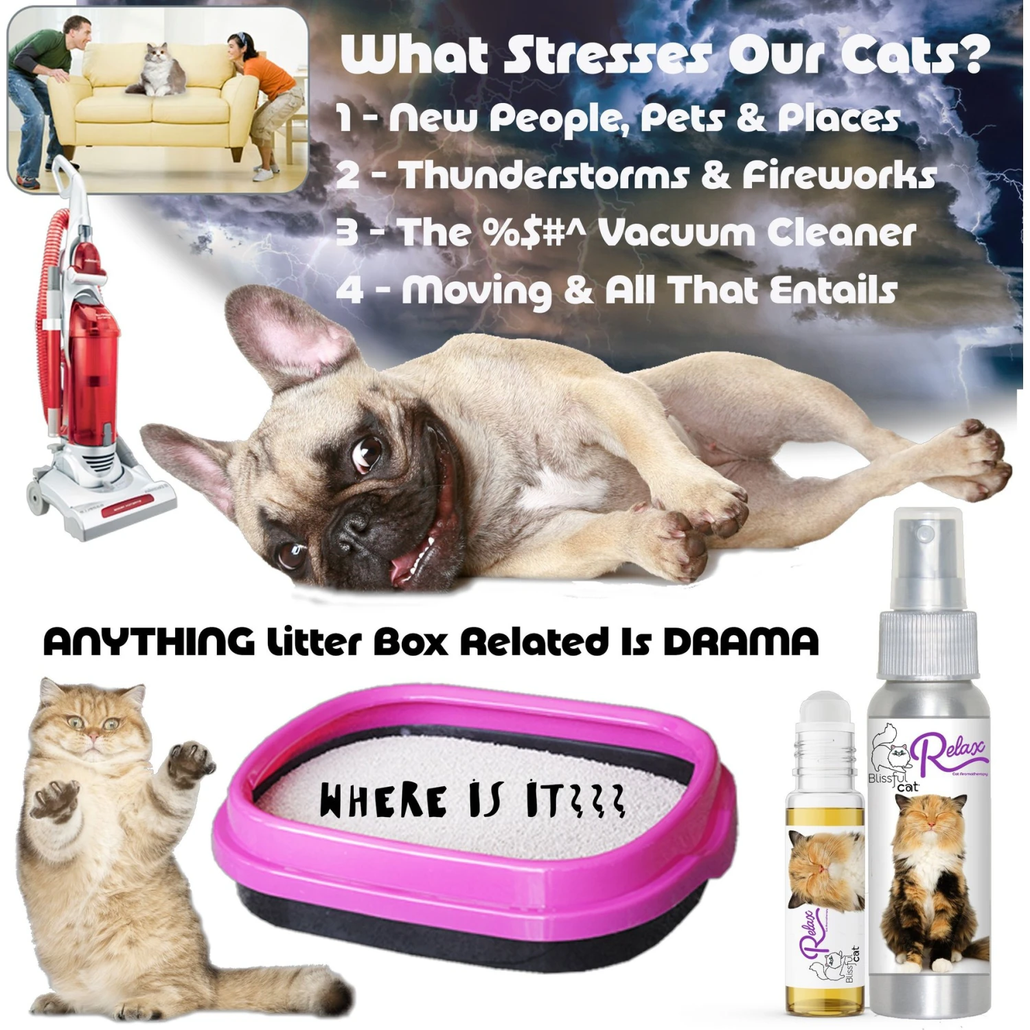 The Blissful Dog Relax Aromatherapy Roll-On Cat Spray, 0.45-oz Bottle 7 The Blissful Dog Relax Aromatherapy Roll-On Cat Spray, 0.45-oz Bottle - Image 5