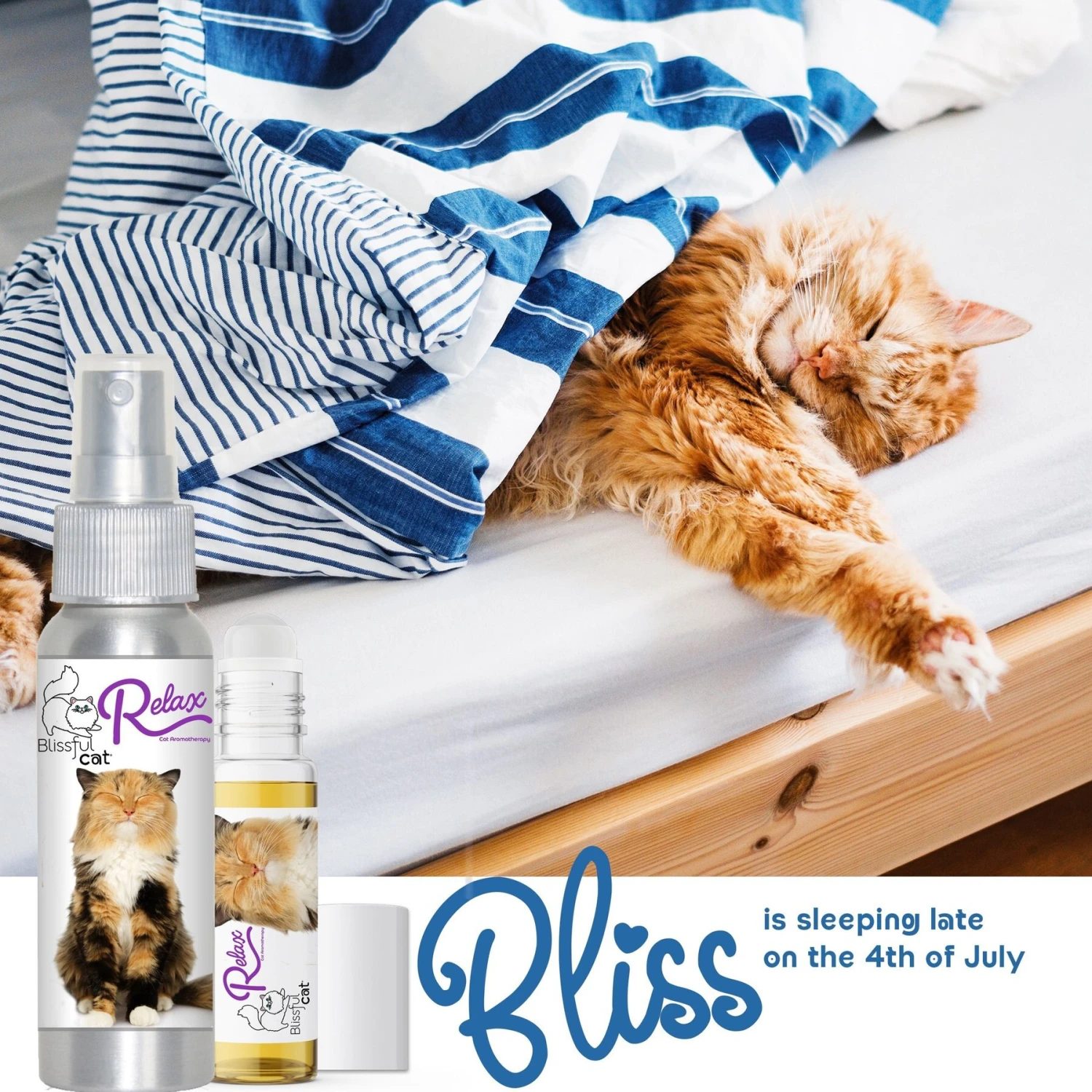 The Blissful Dog Relax Aromatherapy Roll-On Cat Spray, 0.45-oz Bottle 9 The Blissful Dog Relax Aromatherapy Roll-On Cat Spray, 0.45-oz Bottle - Image 7